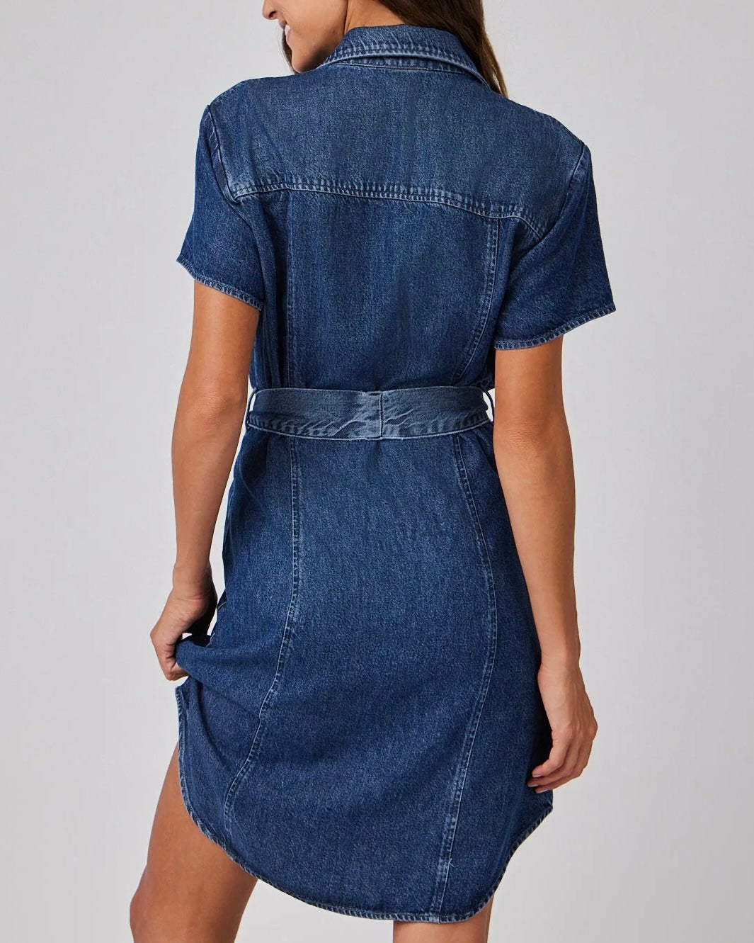 Short Sleeve Seamed Shirt Dress