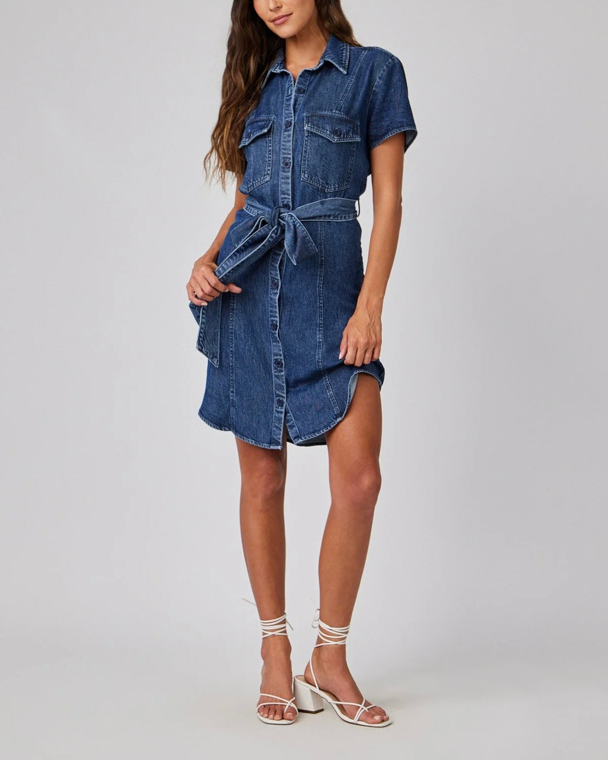 Short Sleeve Seamed Shirt Dress