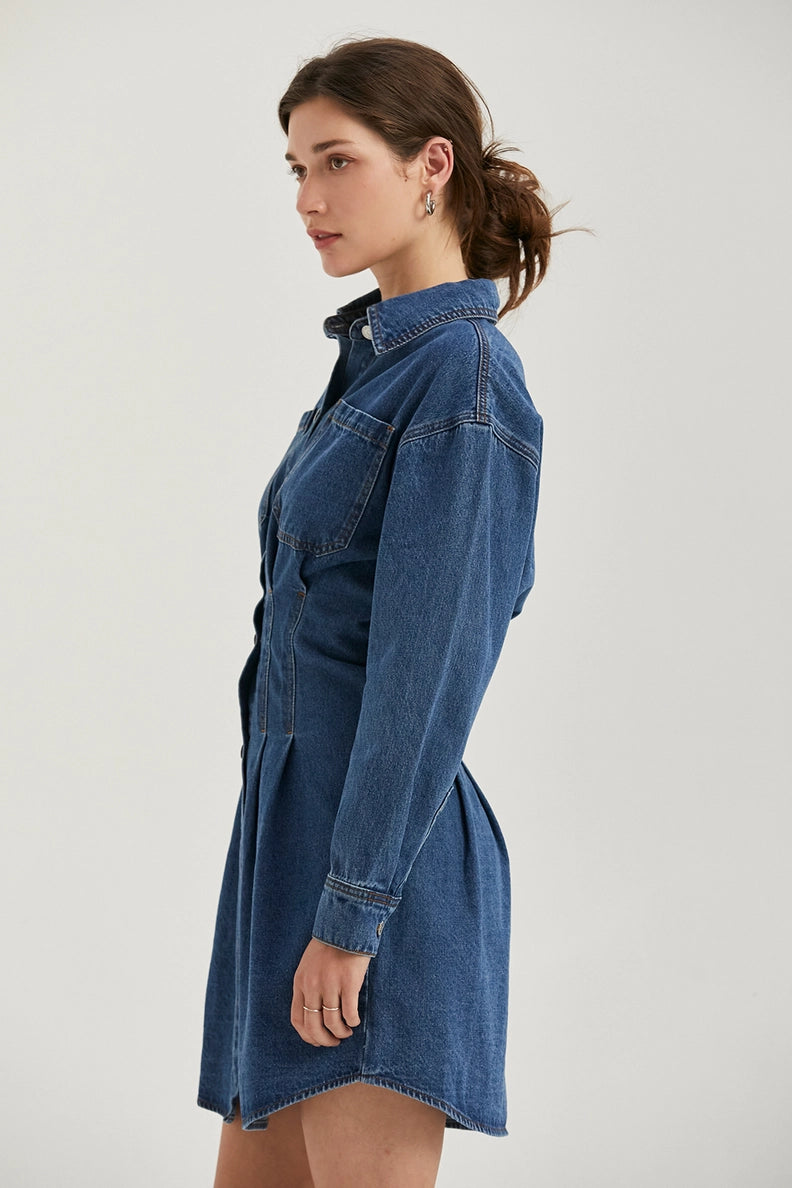 Zae Denim Dress