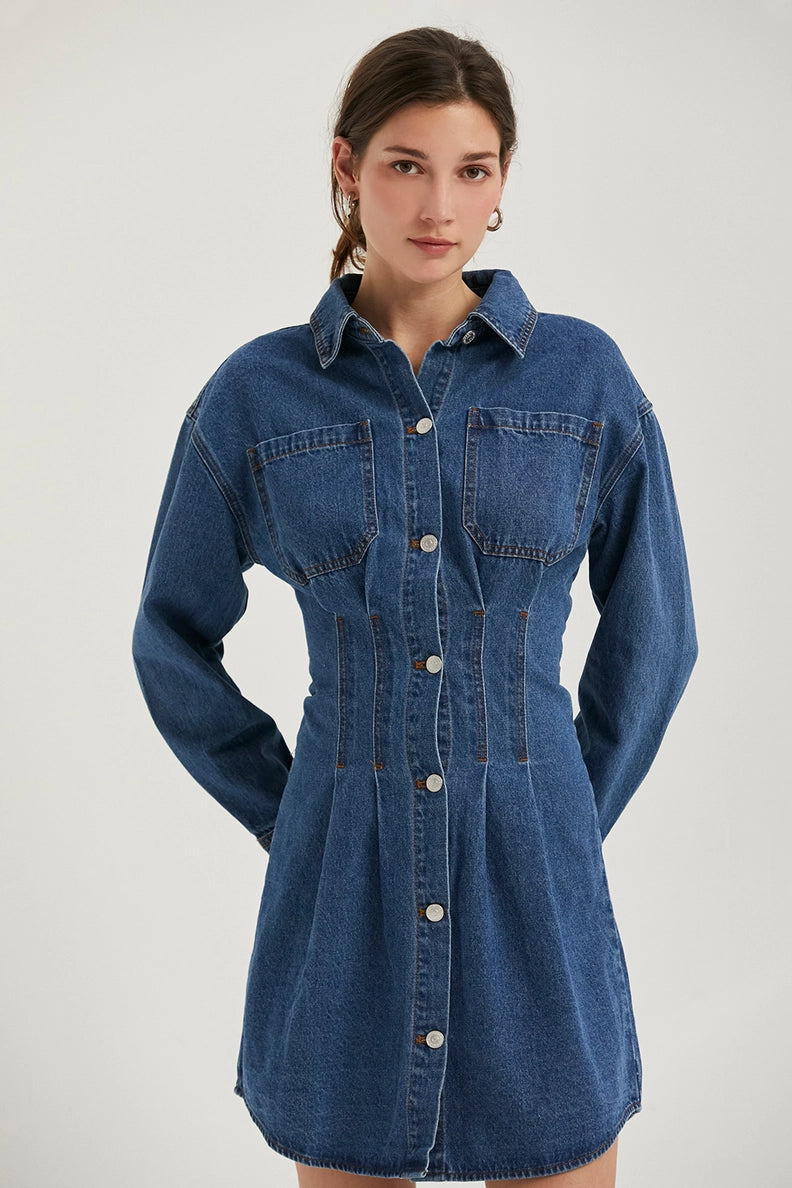 Zae Denim Dress